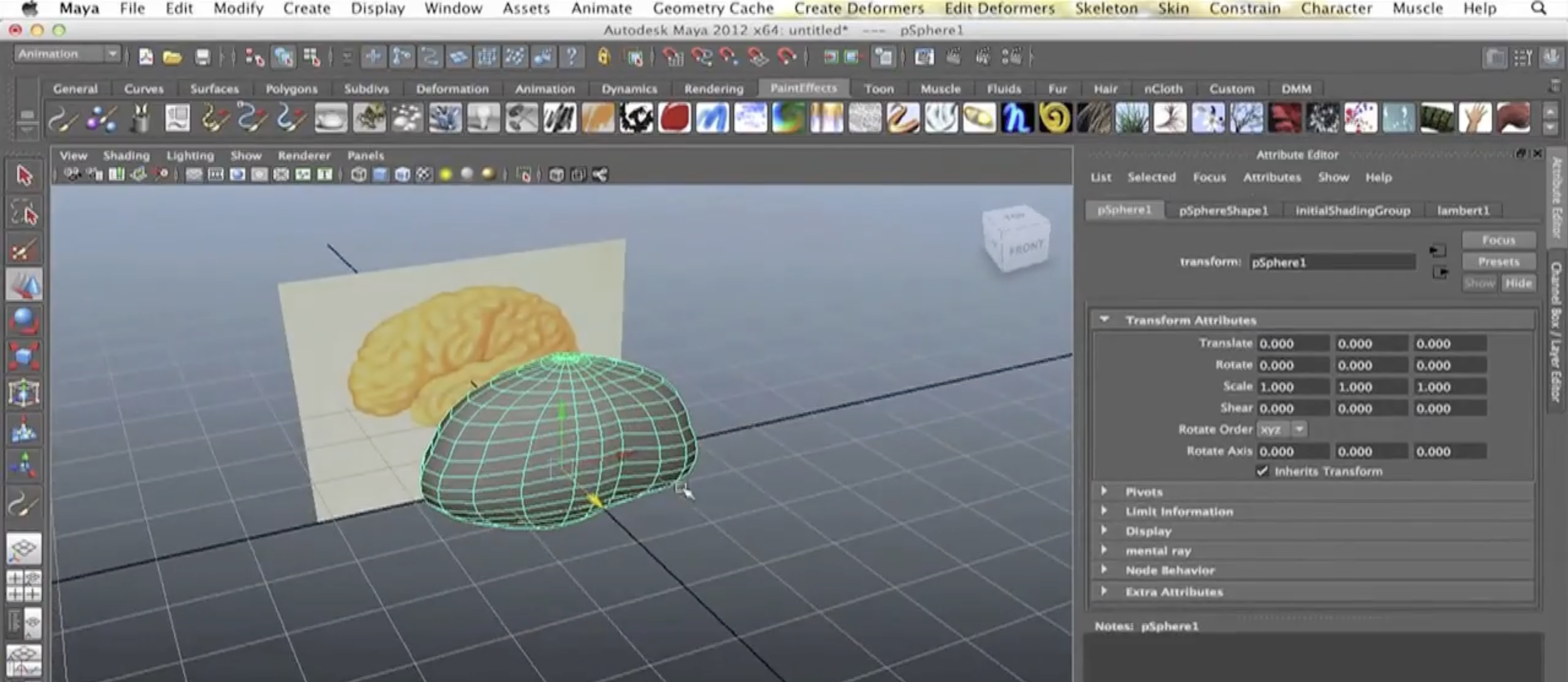3D Brain Model media 1